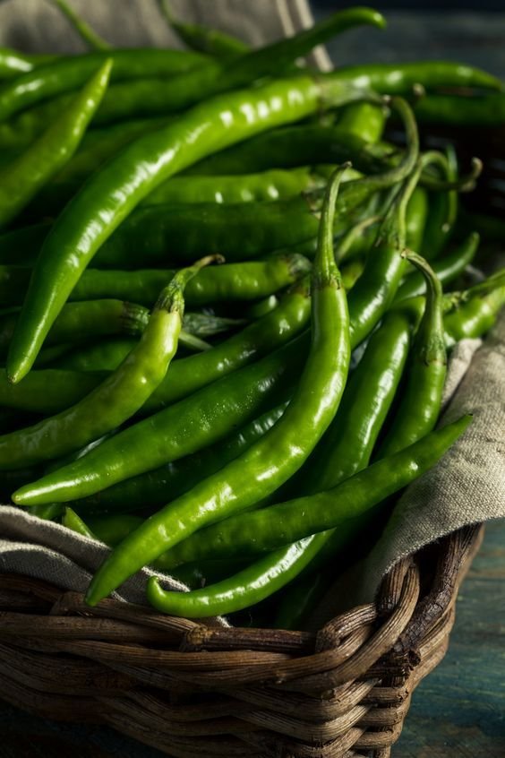 Fresh Green Chilli Exporter India CIF UAE, Saudi Arabia, Qatar, Kuwait, Malaysia